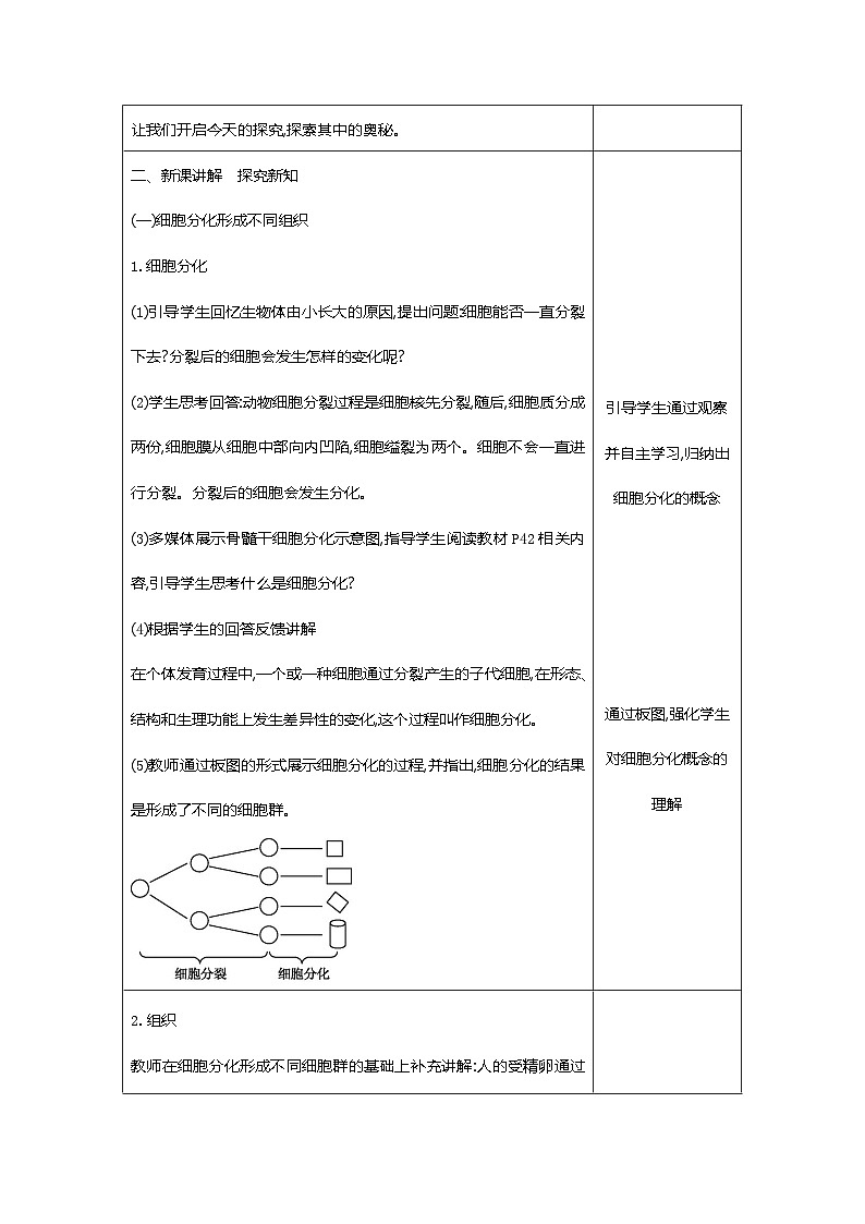 【新教材新课标】人教版生物七上1.3.2动物体的结构层次 课件+教案+习题（含答案）02