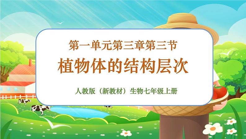 【新教材新课标】人教版生物七上1.3.3植物体的结构层次 课件+教案+习题（含答案）01