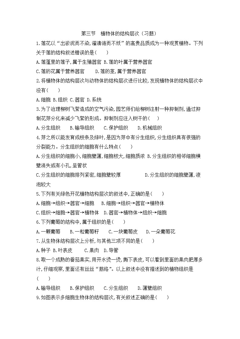 【新教材新课标】人教版生物七上1.3.3植物体的结构层次 课件+教案+习题（含答案）01