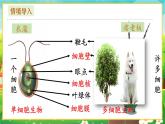 【新教材新课标】人教版生物七上1.3.4 单细胞生物 课件+教案+习题（含答案）