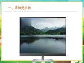 【新教材新课标】人教版生物七上1.3.4 单细胞生物 课件+教案+习题（含答案）