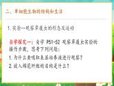 【新教材新课标】人教版生物七上1.3.4 单细胞生物 课件+教案+习题（含答案）