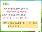 【新教材新课标】人教版生物七上2.1.1藻类、苔藓和蕨类 课件+教案+习题（含答案）