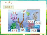 【新教材新课标】人教版生物七上2.1.1藻类、苔藓和蕨类 课件+教案+习题（含答案）