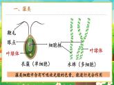 【新教材新课标】人教版生物七上2.1.1藻类、苔藓和蕨类 课件+教案+习题（含答案）