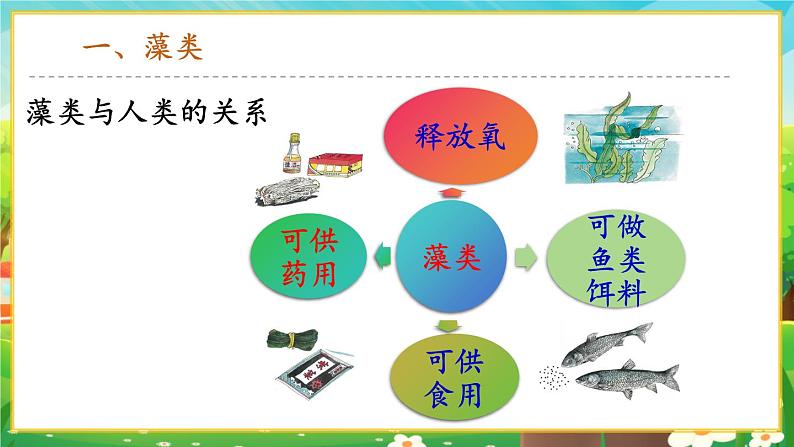 【新教材新课标】人教版生物七上2.1.1藻类、苔藓和蕨类 课件+教案+习题（含答案）08