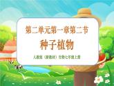 【新教材新课标】人教版生物七上2.1.2种子植物 课件+教案+习题（含答案）