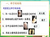 【新教材新课标】人教版生物七上2.1.2种子植物 课件+教案+习题（含答案）