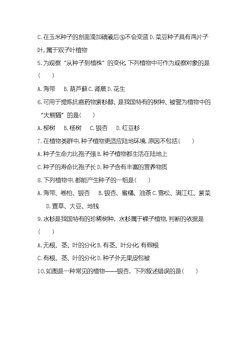 【新教材新课标】人教版生物七上2.1.2种子植物 课件+教案+习题（含答案）02