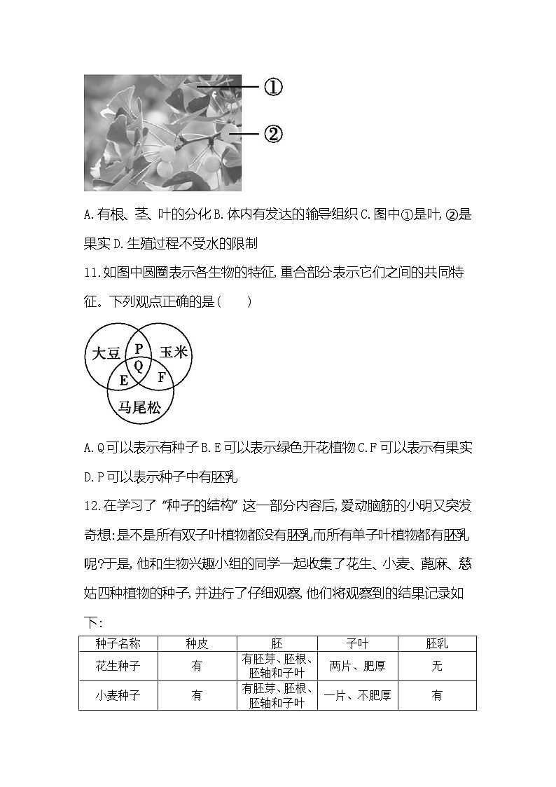 【新教材新课标】人教版生物七上2.1.2种子植物 课件+教案+习题（含答案）03
