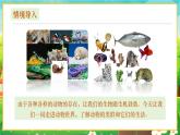 【新教材新课标】人教版生物七上2.2.1无脊椎动物 课件+教案+习题（含答案）