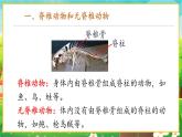 【新教材新课标】人教版生物七上2.2.1无脊椎动物 课件+教案+习题（含答案）