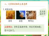 【新教材新课标】人教版生物七上2.2.1无脊椎动物 课件+教案+习题（含答案）