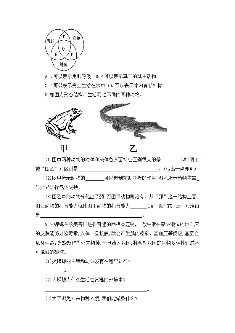 【新教材新课标】人教版生物七上2.2.2脊椎动物--两栖动物和爬行动物 课件+教案+习题 （含答案）02