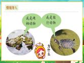【新教材新课标】人教版生物七上2.2.2脊椎动物--两栖动物和爬行动物 课件+教案+习题 （含答案）