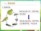 【新教材新课标】人教版生物七上2.2.2脊椎动物--两栖动物和爬行动物 课件+教案+习题 （含答案）