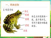【新教材新课标】人教版生物七上2.2.2脊椎动物--两栖动物和爬行动物 课件+教案+习题 （含答案）