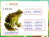 【新教材新课标】人教版生物七上2.2.2脊椎动物--两栖动物和爬行动物 课件+教案+习题 （含答案）