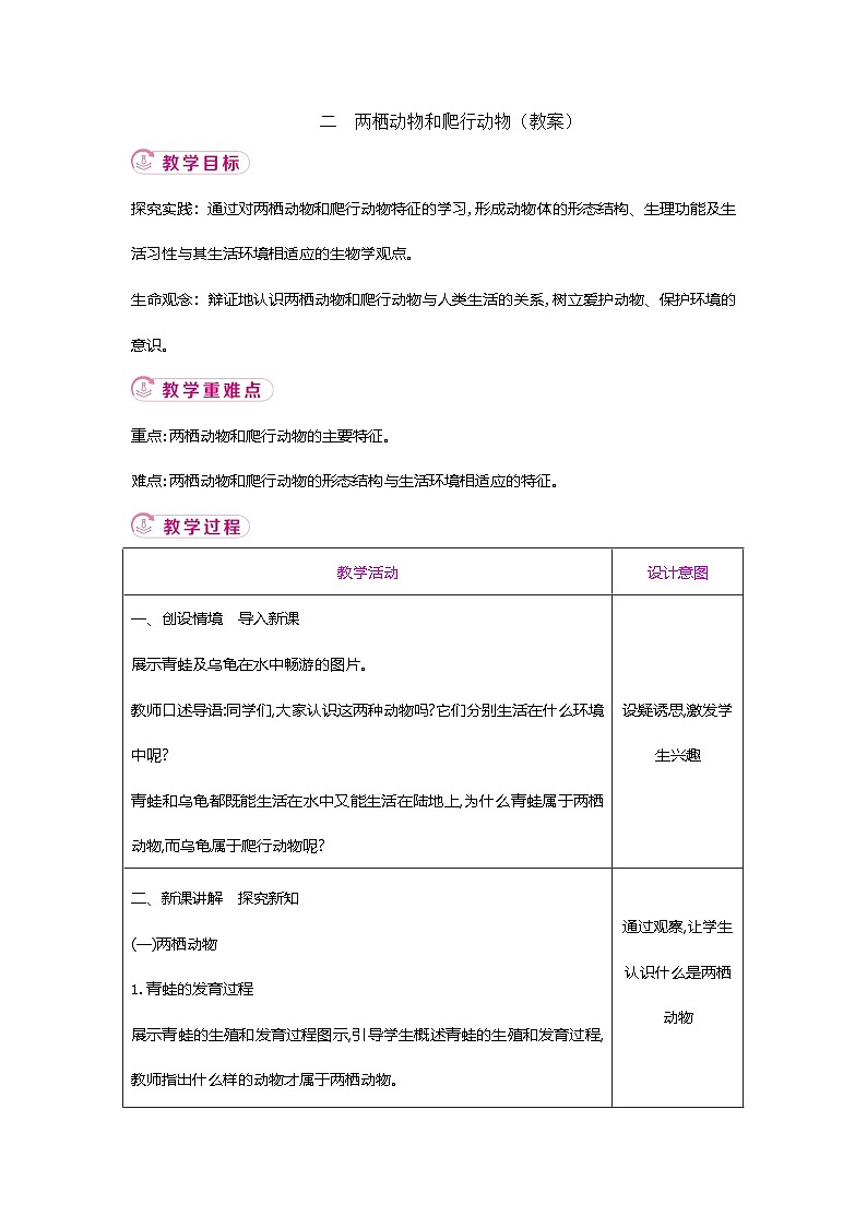 【新教材新课标】人教版生物七上2.2.2脊椎动物--两栖动物和爬行动物 课件+教案+习题 （含答案）01