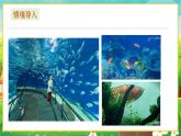 【新教材新课标】人教版生物七上2.2.2脊椎动物--鱼 课件+教案+习题（含答案）