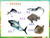 【新教材新课标】人教版生物七上2.2.2脊椎动物--鱼 课件+教案+习题（含答案）