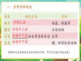 【新教材新课标】人教版生物七上2.2.2脊椎动物--鱼 课件+教案+习题（含答案）