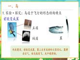 【新教材新课标】人教版生物七上2.2.2脊椎动物--鸟和哺乳动物 课件+教案+习题 （含答案）