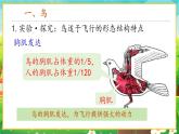 【新教材新课标】人教版生物七上2.2.2脊椎动物--鸟和哺乳动物 课件+教案+习题 （含答案）