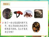 【新教材新课标】人教版生物七上2.3.1微生物的分布 课件+教案+习题 （含答案）