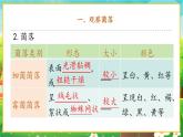【新教材新课标】人教版生物七上2.3.1微生物的分布 课件+教案+习题 （含答案）