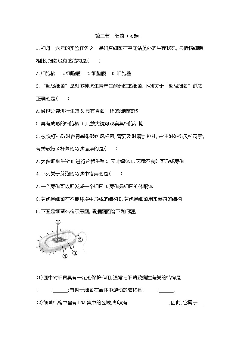 【新教材新课标】人教版生物七上2.3.2细菌 课件+教案+习题 （含答案）01