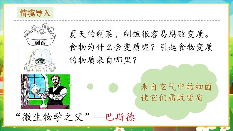 【新教材新课标】人教版生物七上2.3.2细菌 课件+教案+习题 （含答案）02