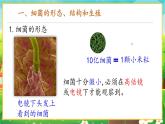 【新教材新课标】人教版生物七上2.3.2细菌 课件+教案+习题 （含答案）