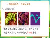 【新教材新课标】人教版生物七上2.3.2细菌 课件+教案+习题 （含答案）