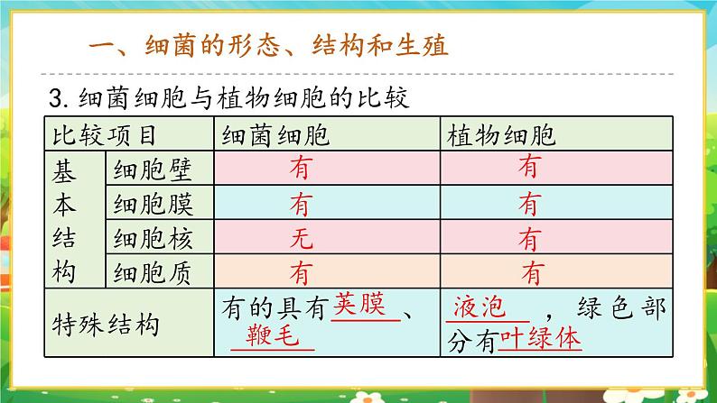 【新教材新课标】人教版生物七上2.3.2细菌 课件+教案+习题 （含答案）07