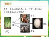 【新教材新课标】人教版生物七上2.3.3真菌 课件+教案+习题 （含答案）