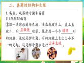 【新教材新课标】人教版生物七上2.3.3真菌 课件+教案+习题 （含答案）