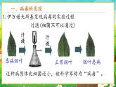 【新教材新课标】人教版生物七上2.3.4病毒 课件+教案+习题 （含答案）