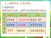 【新教材新课标】人教版生物七上2.3.4病毒 课件+教案+习题 （含答案）