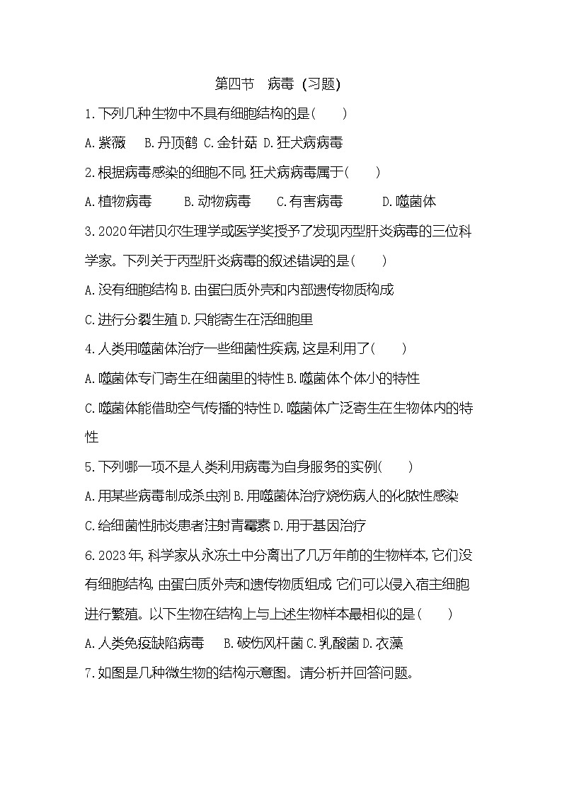 【新教材新课标】人教版生物七上2.3.4病毒 课件+教案+习题 （含答案）01