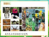 【新教材新课标】人教版生物七上2.4.1尝试对生物进行分类 课件+教案+习题 （含答案）
