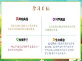 【新教材新课标】人教版生物七上2.4.2从种到界 课件+教案+习题 （含答案）