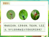 【新教材新课标】人教版生物七上2.4.2从种到界 课件+教案+习题 （含答案）
