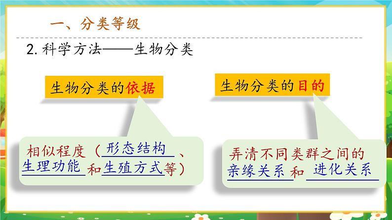 2.4.2从种到界课件第5页