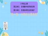 初中生物人教版八年级上册第一节   腔肠动物和扁形动物 课件
