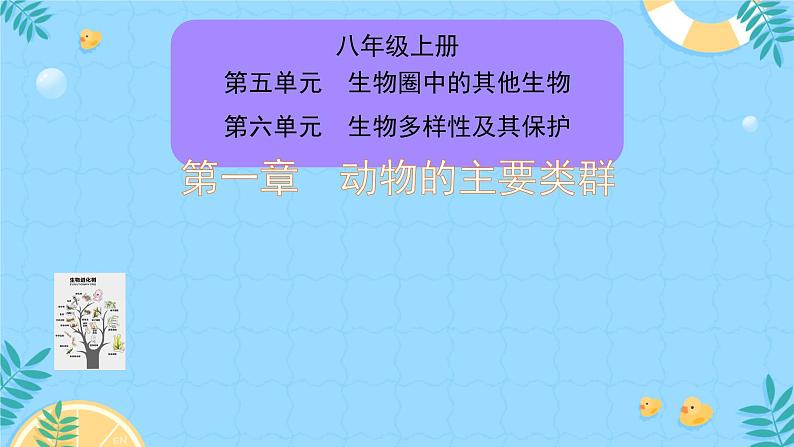 初中生物人教版八年级上册第一节   腔肠动物和扁形动物 课件01