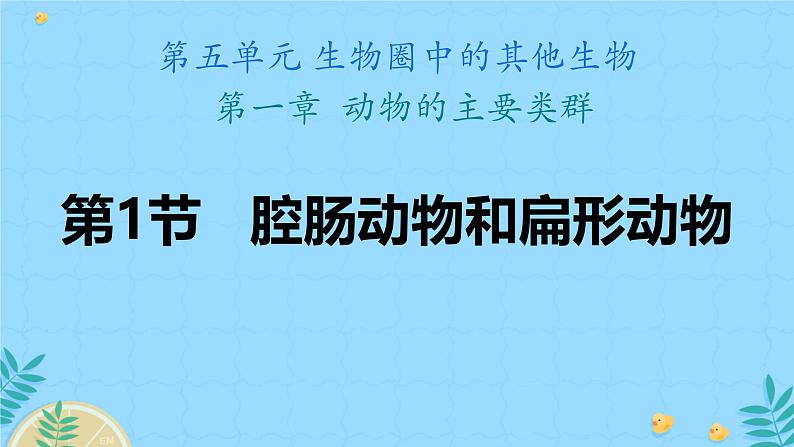 初中生物人教版八年级上册第一节   腔肠动物和扁形动物 课件02