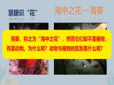 初中生物人教版八年级上册第一节   腔肠动物和扁形动物 课件