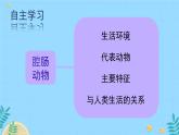 初中生物人教版八年级上册第一节   腔肠动物和扁形动物 课件