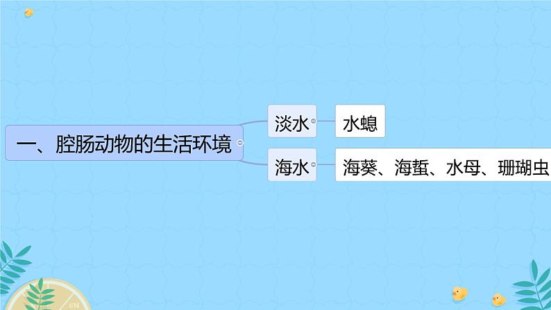 初中生物人教版八年级上册第一节   腔肠动物和扁形动物 课件05